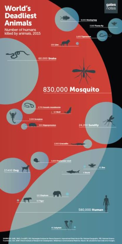 Los animales más mortíferos del mundo