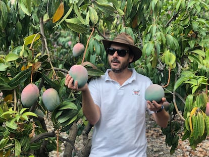 Nono Toré, uno de los responsables de la compañía malagueña Exotic Fruit Box. Imagen proporcionada por la empresa.
