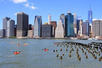 Es fácil olvidar que Nueva York está rodeada de agua. Una de las mejores formas de reconectar con el paisaje acuático son los kayaks gratuitos que prestan varias casetas de barcas de la ciudad. Solo hay que presentarse y registrarse para dar un paseo de 20 minutos por el agua, remando frente a unas vistas insuperables. Se encontrarán kayaks en la Downtown Boathouse de Hudson River Park, Governors Island y Brooklyn Bridge Park, cerca del Pier 2.