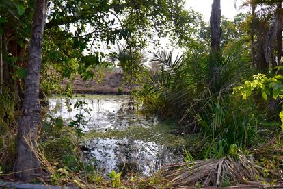 Esta es la laguna donde las mujeres consiguen el agua con la que regar sus huertas. Es fruto de disputas con los pueblos ganaderos que también llevan su ganado hasta allí a abrevar.