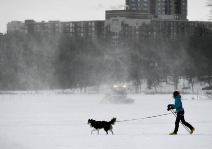 Uma mulher sai para passar com seu cachorro em Minneapolis (Minnesota).