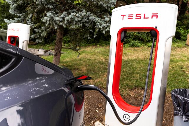 ¿Por qué se desploman las ventas de Tesla en Europa? Entre el veto a ...