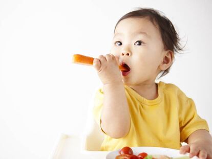 ¿Es peligroso para un niño seguir una dieta vegana?