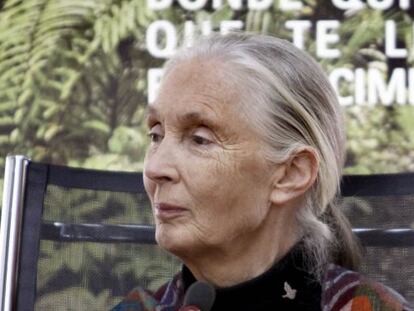 La naturalista británica Jane Goodall en una foto de archivo.