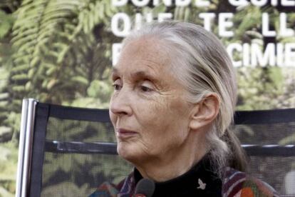 La naturalista británica Jane Goodall en una foto de archivo.