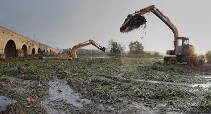 Limpieza de camalote en el Guadiana (Extremadura) en 2013.