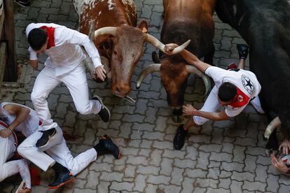 Los animales astifinos de esta ganadería han hecho honor a su fama de ser de los más peligrosos que acuden a los sanfermines: en los 30 años que llevan participando en los encierros han dejado 56 corneados. 
