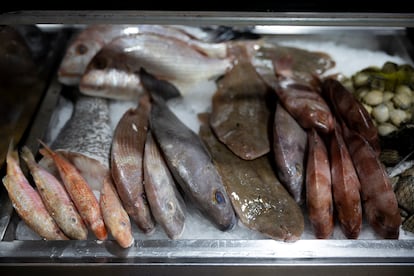 Repertorio de pescados del día, en el mostrador de Casa Rafael, en Cádiz.