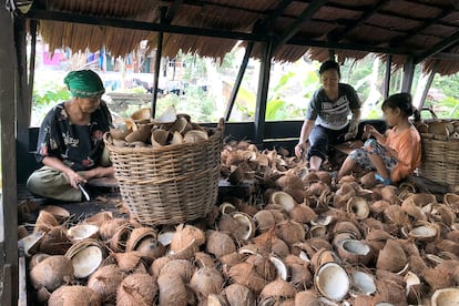 Mujeres en una aldea en Kalimantan occidental, Indonesia, cuyos medios de vida y seguridad alimentaria se han visto afectados por la expansión de una plantación de palma en su tierra.
