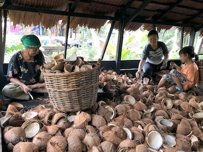 Mujeres en una aldea en Kalimantan occidental, Indonesia, cuyos medios de vida y seguridad alimentaria se han visto afectados por la expansión de una plantación de palma en su tierra.
