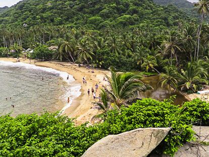 Caminando por el parque nacional Tayrona