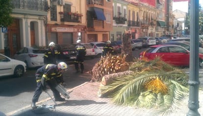 Los bomberos retiran la palmera caída este martes en la calle Barraca.
