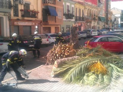 Los bomberos retiran la palmera ca&iacute;da este martes en la calle Barraca.