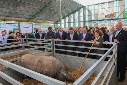 Feria Internacional Ganadera de Zafra (Badajoz).