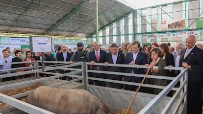 Feria Internacional Ganadera de Zafra (Badajoz).