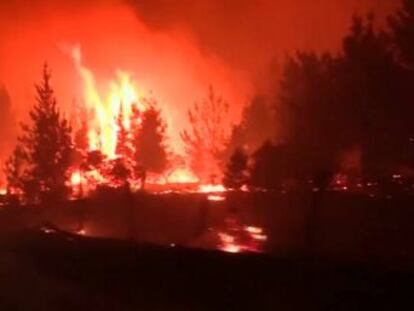 Un foco activo en la comuna de Parral, en la zona centro sur del país, obligó la evacuación de 2.600 personas desde sus hogares