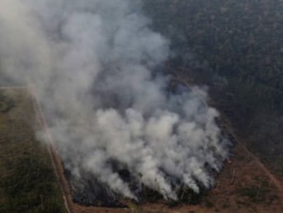 Los científicos señalan que los múltiples incendios de este verano no son una excepción y que aún es pronto para hablar de récord