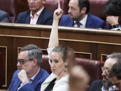 Melisa Rodr&iacute;guez, portavoz adjunta de Ciudadanos en el Congreso de los Diputados, orienta a los diputados de su partido a elegir &quot;s&iacute;&quot; en una de las votaciones presupuestarias.