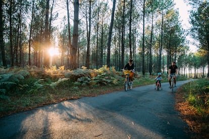 Una familia recorre en bidi el parque natural regional de Las Landas de Gascuña (Francia).