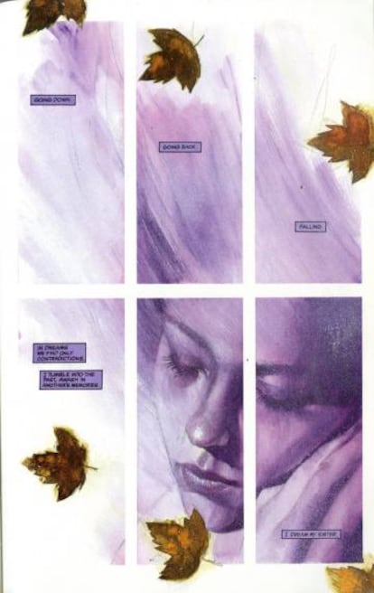 Una página de 'Orquídea negra', con arte de Dave Mckean y guion de Neil Gaiman.