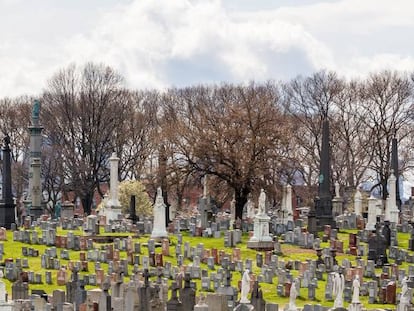 Cementerio en el barrio neoyorquino de Queens, en Estados Unidos.