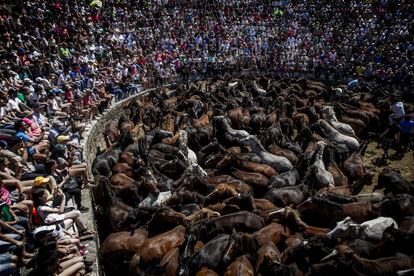 El objetivo de este tradicional evento es cortar el pelo de las crines y la cola de los animales para ofrecérselo, en una suerte de ritual religioso, al patrón de la localidad, San Lorenzo.