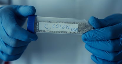 Analysis of Columbus' DNA, in an image from an RTVE documentary.