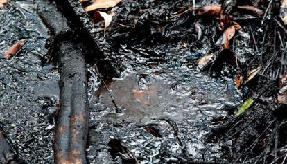 Imagen del desastre ecológico provocado por la petrolera Chevron en Ecuador. Brad Pitt tiene los derechos para rodar una película.