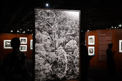 La muestra, compuesta por 230 fotografías en blanco y negro, busca sensibilizar al público sobre la riqueza cultural, natural y espiritual de la Amazonia, así como la urgente necesidad de su conservación.