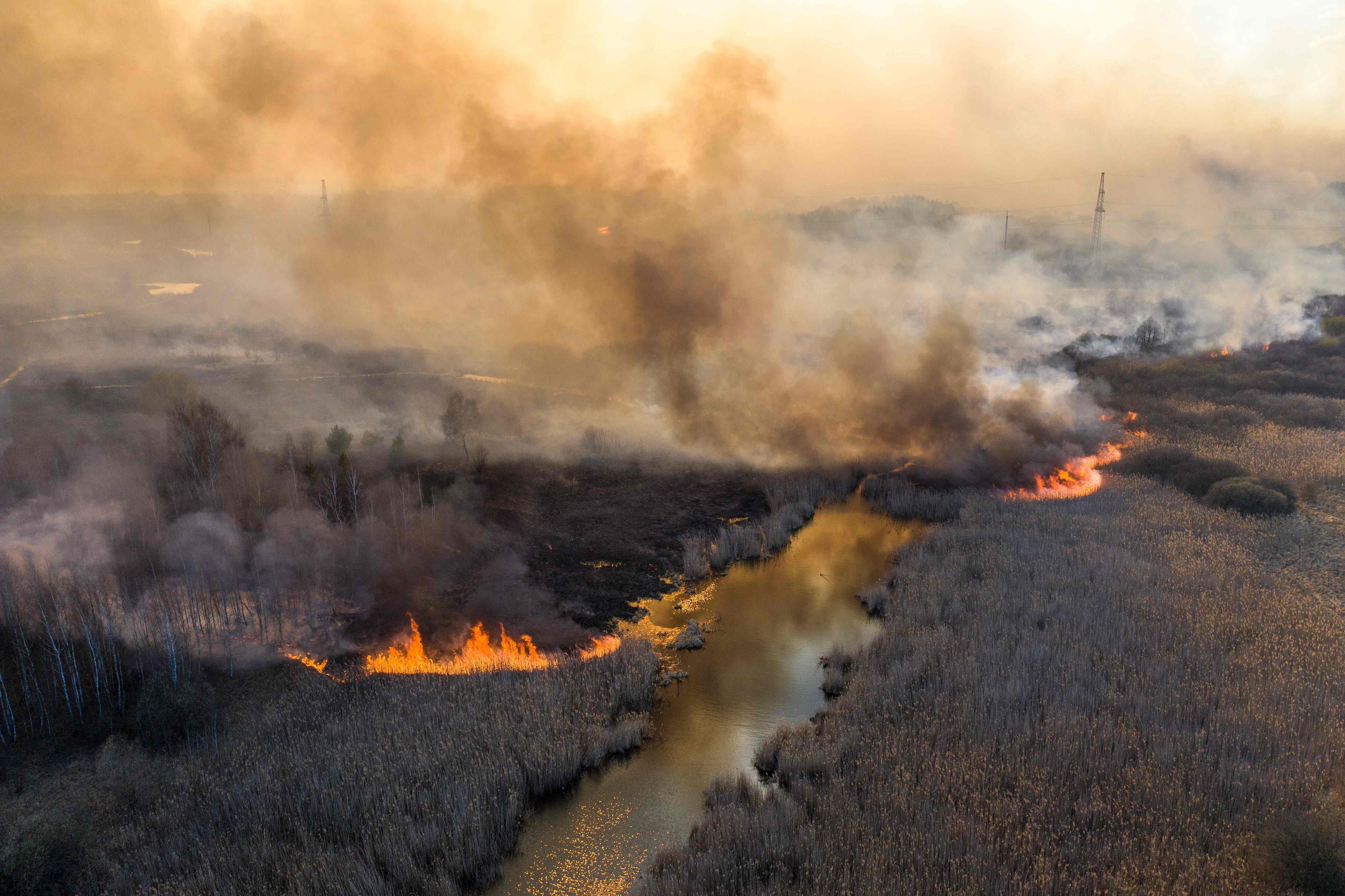 Uno de los incendios en la zona de exclusión de Chernóbil, el pasado viernes.