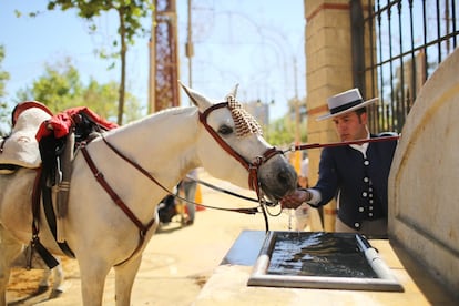 Dentro del propio entorno de la Feria hay fuentes y zonas de descanso.