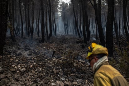 Un bombero trabaja en la extinción del incendio en la Sierra Culebra , a 16 de junio de 2022, en Zamora, Castilla y León, (España). La Junta de Castilla y León ha declarado nivel 2 del Plan de Protección Civil ante Emergencias por Incendios Forestales (Infocal) por simultaneidad de incendios provocados por rayos en Riofrío de Aliste y Ferreras de Arriba (Zamora), en la Sierra de la Culebra. Hasta el lugar se ha desplazado la Unidad Militar de Emergencias (UME).    Además de la UME, trabajan en el lugar tres helicópteros de la Junta y se han solicitado dos cuadrillas helitransportadas BRIF y tres anfibios del Ministerio para la Transición Ecológica y el Reto Demográfico.
16 JUNIO 2022;INCENDIO;FUEGO;DESASTRE NATURAL;MEDIO AMBIENTE;CAMBIO CLIMÁTICO;CENIZAS;ÁRBOLES;
Emilio Fraile / Europa Press
16/06/2022