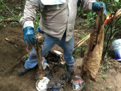 El Colectivo Solecito, en México, ha encontrado 75 fosas clandestinas en Veracruz. EL PAÍS les acompaña en la búsqueda