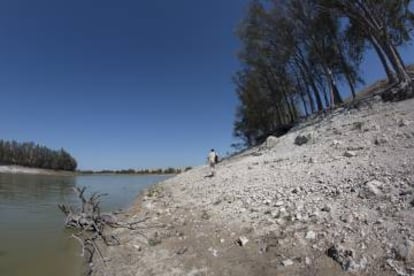 Embalse de Torre del Águila, en la localidad sevillana de Utrera.