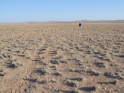 Zonas como el Mar de Arena de Namibia, en la imagen, serán aún más áridas.
