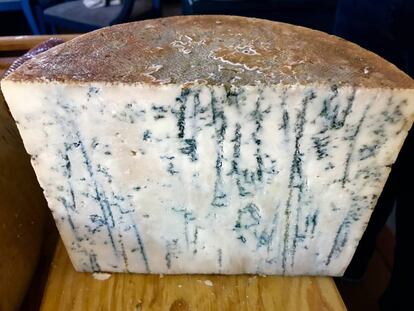 Queso Azul elaborado con leche cruda de cabra de raza Florida, coagulación enzimatica y cuajo natural, pasta no prensada con una maduración mínima 60 días Quesos El Bucarito.