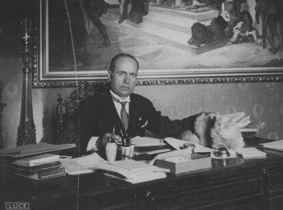 Mussolini, en su despacho con su gato, alrededor de 1925