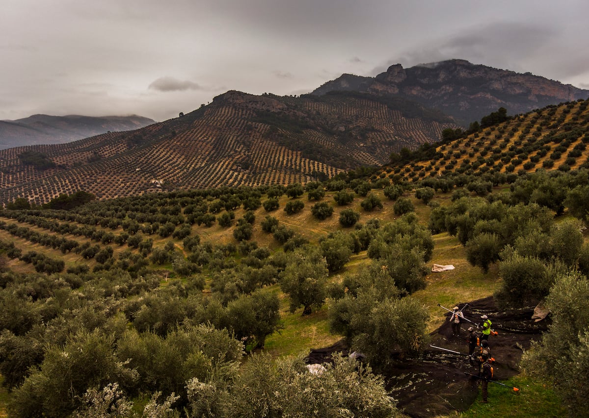 Andalucía se hace urbana y se desangra en las zonas rurales