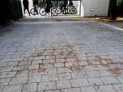 Lugar donde un joven de unos 16 años falleció en la tarde del domingo tras recibir una puñalada durante una pelea, en Burjassot, Valencia.