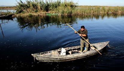 Un pescador de l&#039;Albufera. 