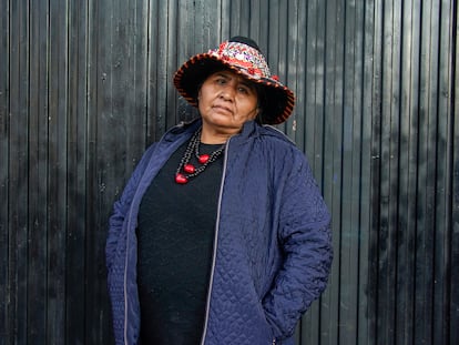 Lourdes Huanca Atencio, activista feminista, indígena y campesina de Perú, en Madrid el 20 de enero de 2023.