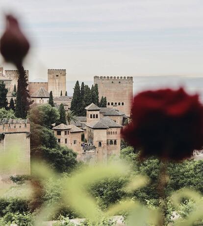 Vista de los palacios nazaríes desde los jardines.