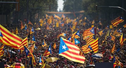 Estelades durant la celebració de la Diada el 2014.