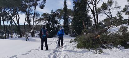 Un par de vecinos pasean por la Casa de Campo, el pasado domingo, tras el temporal.