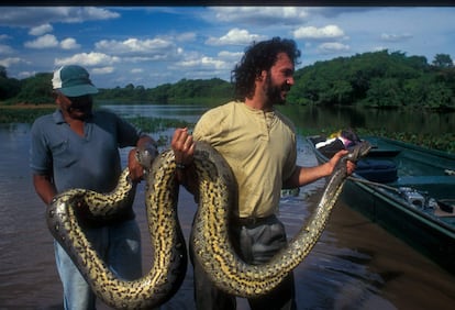 El herpetólogo Jesús Rivas con una anaconda en Río Matiyure.