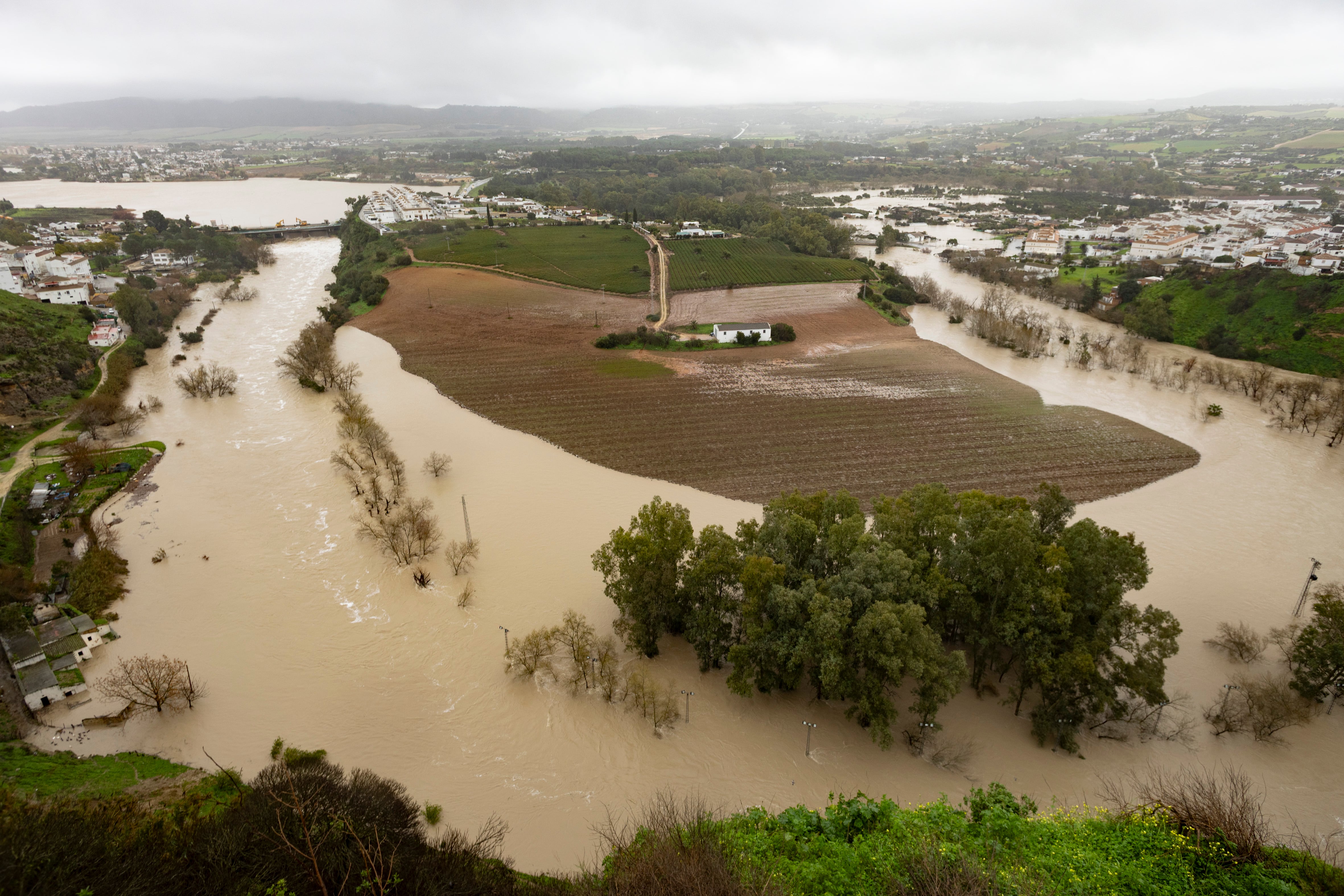 El temporal no perdona al sector primario: agricultores y ganaderos calculan pérdidas millonarias en infraestructuras y cosechas