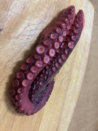 Pata de pulpo gallego cocida. Imagen proporcionada por O Percebeiro.