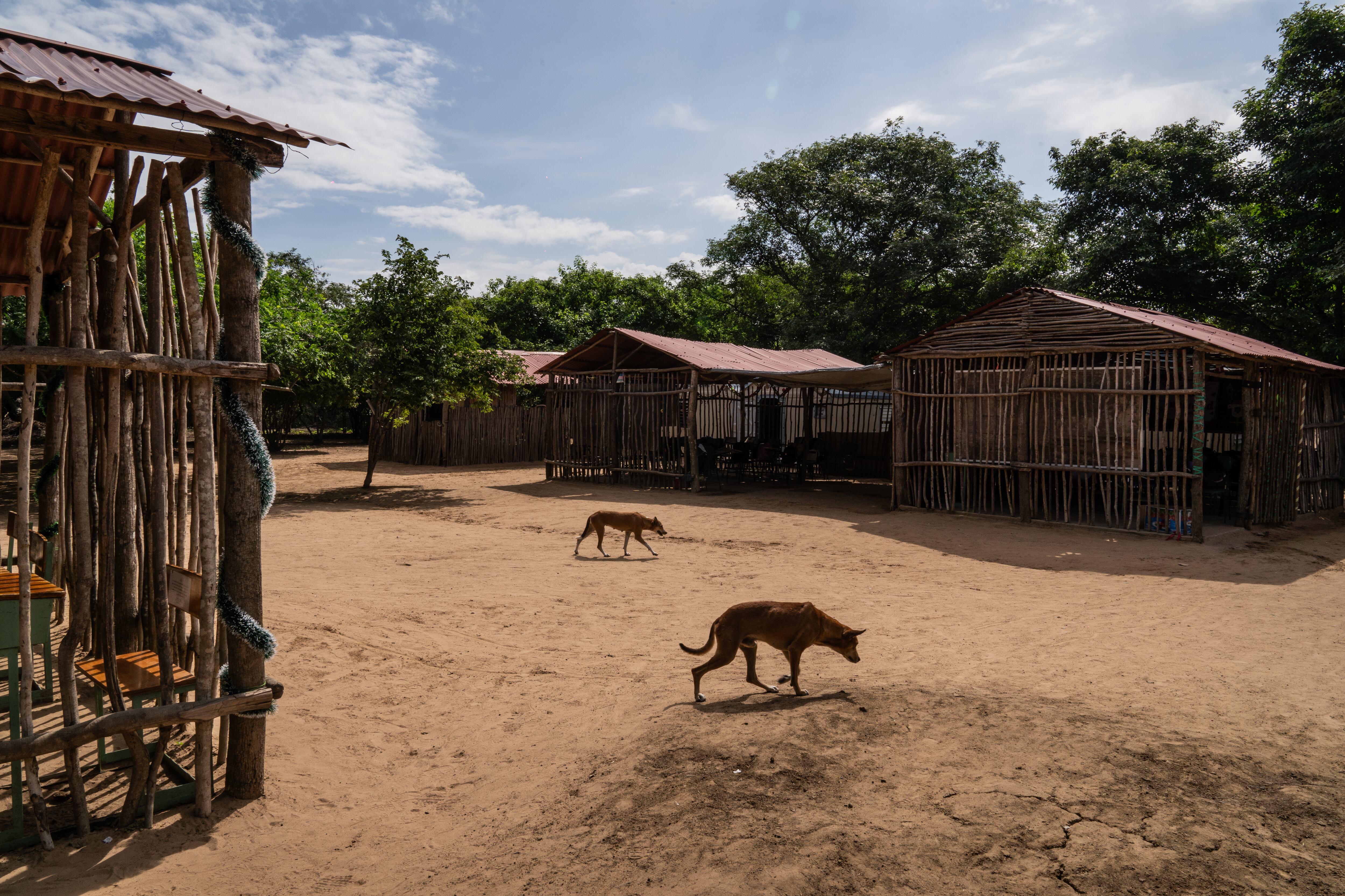 Escuela La Voluntad de Dios, en Paraguachón (La Guajira), el 22 de noviembre de 2023.