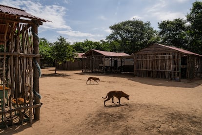 Escuela La Voluntad de Dios, en Paraguachón (La Guajira), el 22 de noviembre de 2023.