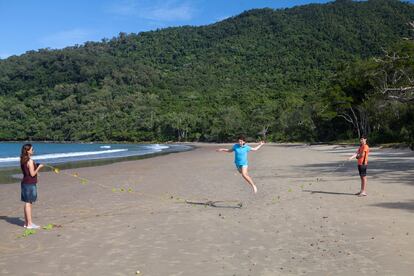 Cape Tribulation, North Queensland, Australia.